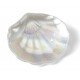 CONCHA M. PERLA