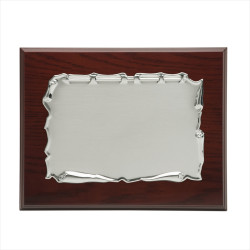 PLACA 21X16 METAL PLATEADO 16X12