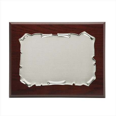 PLACA PLATEADA 16 X 10 