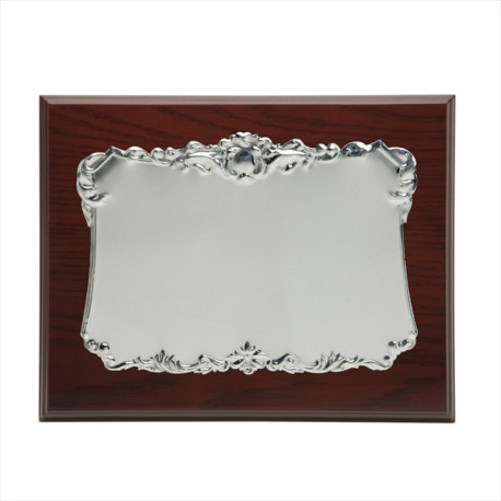 PLACA DE ALUMINIO BLANCO 23X19