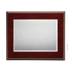 PLACA CHAPA  ALUMINIO 15X20