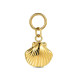 CHARM DE ACERO INOXIDABLE CONCHA 11MM