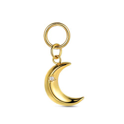 CHARM DE ACERO INOXIDABLE  LUNA